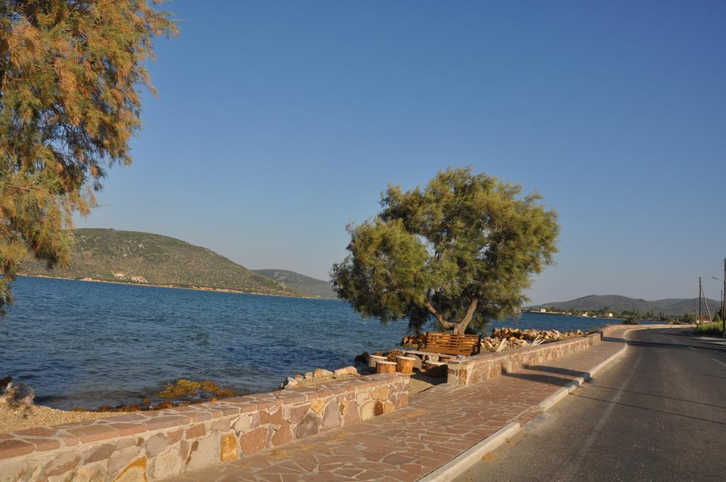 Apidias Lakos Ariadnes Holiday Accommodation II מראה חיצוני תמונה