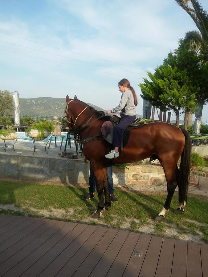 Apidias Lakos Ariadnes Holiday Accommodation II מראה חיצוני תמונה